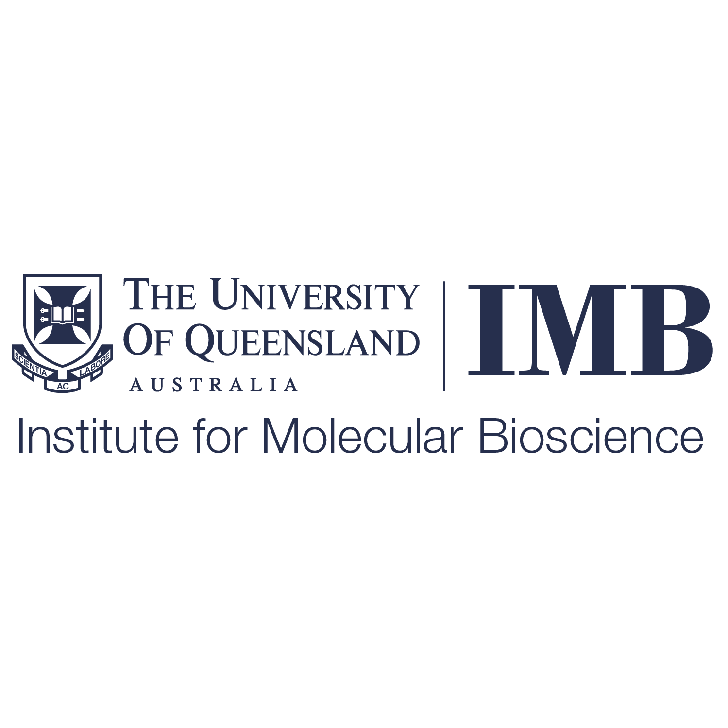 <IMB-logo